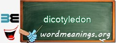 WordMeaning blackboard for dicotyledon